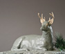 RESTING BUCK